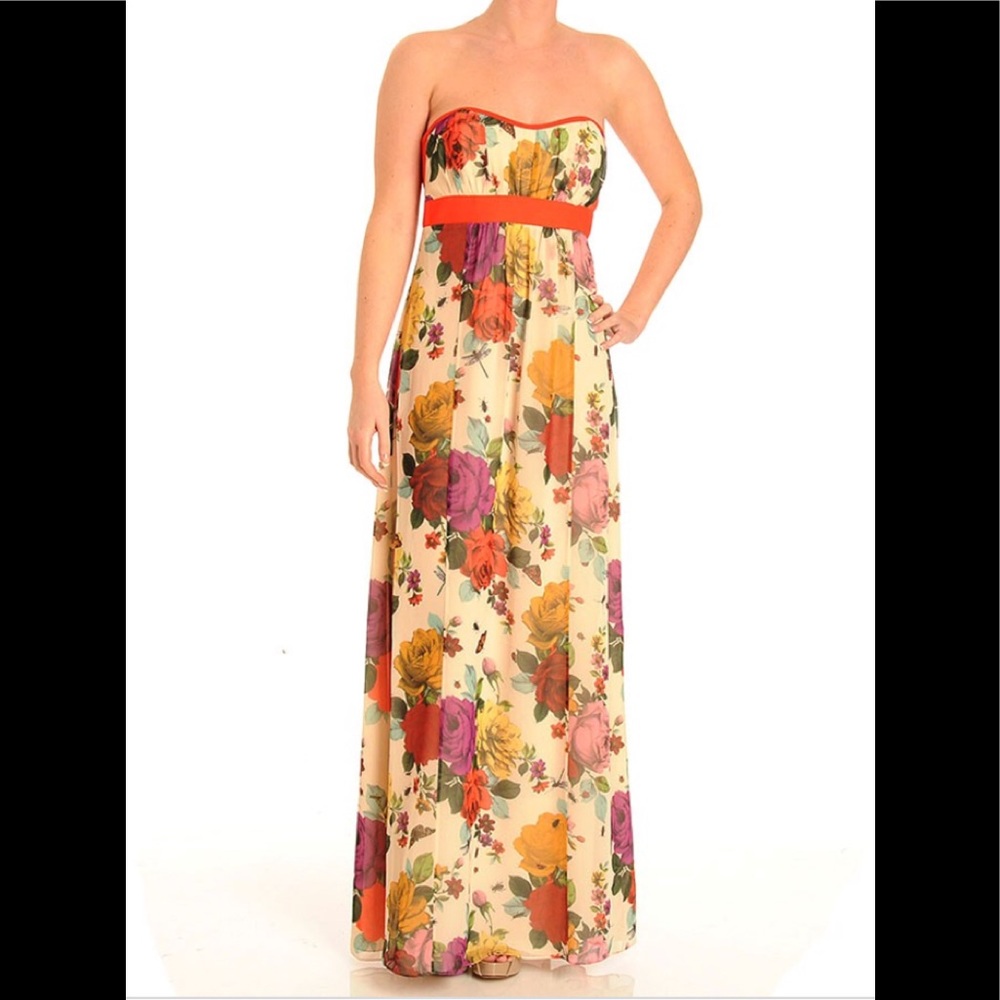 Ted Baker London Floral Bug Dress NWT